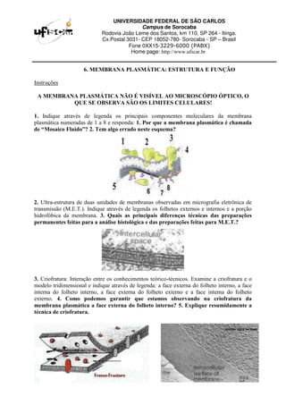UNIVERSIDADE FEDERAL DE SÃO CARLOS
Campus de Sorocaba
Rodovia João Leme dos Santos, km 110, SP 264 - Itinga.
Cx.Postal 3031- CEP 18052-780- Sorocaba - SP – Brasil
Fone 0XX15-3229-6000 (PABX)
Home page: http://www.ufscar.br
6. MEMBRANA PLASMÁTICA: ESTRUTURA E FUNÇÃO
Instruções
A MEMBRANA PLASMÁTICA NÃO É VISÍVEL AO MICROSCÓPIO ÓPTICO, O
QUE SE OBSERVA SÃO OS LIMITES CELULARES!
1. Indique através de legenda os principais componentes moleculares da membrana
plasmática numeradas de 1 a 8 e responda: 1. Por que a membrana plasmática é chamada
de “Mosaico Fluido”? 2. Tem algo errado neste esquema?
2. Ultra-estrutura de duas unidades de membranas observadas em micrografia eletrônica de
transmissão (M.E.T.). Indique através de legenda os folhetos externos e internos e a porção
hidrofóbica da membrana. 3. Quais as principais diferenças técnicas das preparações
permanentes feitas para a análise histológica e das preparações feitas para M.E.T.?
3. Criofratura: Interação entre os conhecimentos teórico-técnicos. Examine a criofratura e o
modelo tridimensional e indique através de legenda: a face externa do folheto interno, a face
interna do folheto interno, a face externa do folheto externo e a face interna do folheto
externo. 4. Como podemos garantir que estamos observando na criofratura da
membrana plasmática a face externa do folheto interno? 5. Explique resumidamente a
técnica de criofratura.
 