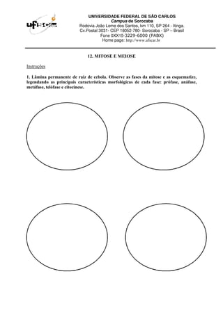 UNIVERSIDADE FEDERAL DE SÃO CARLOS
Campus de Sorocaba
Rodovia João Leme dos Santos, km 110, SP 264 - Itinga.
Cx.Postal 3031- CEP 18052-780- Sorocaba - SP – Brasil
Fone 0XX15-3229-6000 (PABX)
Home page: http://www.ufscar.br
12. MITOSE E MEIOSE
Instruções
1. Lâmina permanente de raiz de cebola. Observe as fases da mitose e as esquematize,
legendando as principais características morfológicas de cada fase: prófase, anáfase,
metáfase, telófase e citocinese.
 