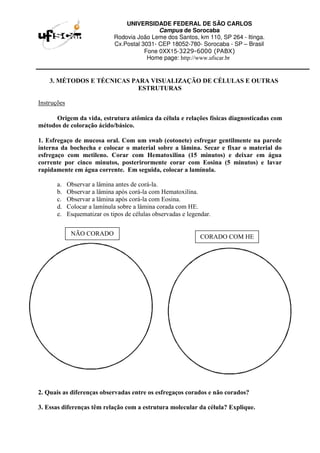 UNIVERSIDADE FEDERAL DE SÃO CARLOS
Campus de Sorocaba
Rodovia João Leme dos Santos, km 110, SP 264 - Itinga.
Cx.Postal 3031- CEP 18052-780- Sorocaba - SP – Brasil
Fone 0XX15-3229-6000 (PABX)
Home page: http://www.ufscar.br
3. MÉTODOS E TÉCNICAS PARA VISUALIZAÇÃO DE CÉLULAS E OUTRAS
ESTRUTURAS
Instruções
Origem da vida, estrutura atômica da célula e relações físicas diagnosticadas com
métodos de coloração ácido/básico.
1. Esfregaço de mucosa oral. Com um swab (cotonete) esfregar gentilmente na parede
interna da bochecha e colocar o material sobre a lâmina. Secar e fixar o material do
esfregaço com metileno. Corar com Hematoxilina (15 minutos) e deixar em água
corrente por cinco minutos, posterirormente corar com Eosina (5 minutos) e lavar
rapidamente em água corrente. Em seguida, colocar a lamínula.
a. Observar a lâmina antes de corá-la.
b. Observar a lâmina após corá-la com Hematoxilina.
c. Observar a lâmina após corá-la com Eosina.
d. Colocar a lamínula sobre a lâmina corada com HE.
e. Esquematizar os tipos de células observadas e legendar.
2. Quais as diferenças observadas entre os esfregaços corados e não corados?
3. Essas diferenças têm relação com a estrutura molecular da célula? Explique.
NÃO CORADO CORADO COM HE
 