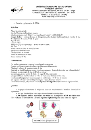UNIVERSIDADE FEDERAL DE SÃO CARLOS
Campus de Sorocaba
Rodovia João Leme dos Santos, km 110, SP 264 - Itinga.
Cx.Postal 3031- CEP 18052-780- Sorocaba - SP – Brasil
Fone 0XX15-3229-6000 (PABX)
Home page: http://www.ufscar.br
c. Extração e observação de DNA.
Materiais:
Álcool absoluto gelado
Cebola, Morango ou Fígado em pedaços
Células da mucosa oral: <http://www.youtube.com/watch?v=vO50-ZRQtuY>
Solução de lise: 4 colheres de sopa de detergente incolor (Dodecil Sulfato de Sódio), 1 colher de chá
de sal (cloreto de sódio), 74 mL de água
Papel de filtro
Gelo em cubos
2 béqueres pequenos (50 mL) e 1 Becker de 500 ou 1000
mL Funil
Tubos Falcon ou tubos de ensaio de vidro
(preferível) Bastão de vidro
Estilete ou faca de cozinha
Palitos de Sorvete ou de dente.
Banho-maria (~60 o
C)
Procedimentos:
Em um Becker esmague o material em pedaços bem pequenos
Coloque no béquer pequeno 4 colheres de chá do material esmagado
Adicione 2 colheres de sopa de solução de lise
Bata tudo ao liquidificador ou misture bem (com morango e fígado não é preciso usar o liquidificador)
Complete com a solução de lise até 25 mL no béquer
Coe a solução, com o auxílio do funil e do papel de filtro (opcional)
Coloque o filtrado em tubo Falcon ou Tubo de Vidro (este último é melhor para
visualização) Tampe o tubo e o coloque em no banho-maria ~60 o
C por 15 minutos
Em seguida, coloque o tubo no béquer com gelo e água, durante 5 minutos
Decorrido este tempo, adicione um volume igual de álcool gelado ao tubo (misture vagarosamente).
Questões:
a. Explique sucintamente o porquê de todos os procedimentos e materiais utilizados no
experimento.
b. Por que você não pode ver a dupla-hélice do DNA ao microscópio?
c. O esquema abaixo representa as etapas da extração do DNA da cebola que
você realizou no laboratório. Use uma legenda explicativa para cada uma das figuras
FONTE: www.google.com.br
 
