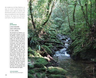 ( 20 ) ( 21 )
são endêmicas da Mata Atlântica, ou
seja, só ocorrem nesse bioma e em
nenhum outro lugar do planeta. Na
APA Bororé-Colônia, é comum a pre-
sença de pavões-do-mato (Pyroderus
scutatus), do bugio-ruivo (Alouatta
clamitans), de gatos-domato (Leo-
Dica
de Passeio
Cachoeira
das Virgens
e do Jamil
No período da manhã o ro-
teiro pode começar no Sítio
do Bambu, onde se localiza
o Poço das Virgens (foto ao
lado). Um ribeirão de águas
cristalinas que corre por um
trecho de Mata Atlântica,
formando uma linda queda
d’água que finaliza em um
poço rodeado de pedras,
local perfeito para um belo
mergulho. No período da
tarde pode-se seguir rumo
à Fazenda Nossa Senhora
das Graças, situada na con-
fluência do rio Monos com
o rio Capivari, ponto sim-
bólico da região, pois estes
rios deram origem ao nome
da maior Área de Proteção
Ambiental de São Paulo, a
Capivari-Monos. A cachoeira
do Jamil é considerada uma
das mais belas da região.
sítio do bambu
Mata ciliar do poço das Virgens
LucianoKarai
 