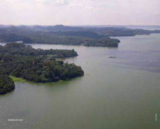 ( 75 )
represa billings
felipespina
 