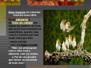 Duas imagens da natureza
ilustram essa idéia:
Se os pássaros e
os lírios do campo são
objeto do cuidado de Deus,
que provê sua subsistência
espontânea, quanto mais
o será o homem que vale
muito mais que eles.
- Jesus conclui
com um duplo convite:
1. "Não vos preocupeis
com a vida, com o
alimento, com as vestes,
o Pai do céu já sabe
que temos necessidade
de tudo isso".

 