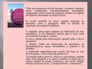  "Não nos propomos nivelar homens e animais; contudo,
numa comparação reconhecidamente incompleta,
imaginemos seres outros da natureza trazidos ao regime
do Espírito encarnado na Esfera Física.
 O cavalo atrelado ao carro, quando entregue ao
descanso, corre à pastagem, onde se refocila na
satisfação dos próprios impulsos.
 A serpente, presa para cooperar na fabricação de soro
antiofídico, se for libertada, desliza para a toca, onde
reconstituirá o próprio veneno.
 O corvo, detido para observações, quando solto, volve à
imundície.
 A abelha, retida em observação de apicultura, ao
desembaraçar-se, torna, incontinenti, à colmeia e ao
trabalho.
 A andorinha engaiolada para estudo, tão logo se veja
fora da grade, voa no rumo da primavera.
 Se desejas saber quem és, observa o que pensas, quando
estás sem ninguém; e se queres conhecer o lugar que te
espera, depois da morte, examina o que fazes contigo
mesmo nas horas livres." (Justiça Divina - Emmanuel).
 
