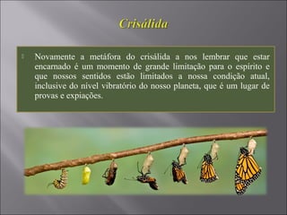  Novamente a metáfora do crisálida a nos lembrar que estar
encarnado é um momento de grande limitação para o espírito e
que nossos sentidos estão limitados a nossa condição atual,
inclusive do nível vibratório do nosso planeta, que é um lugar de
provas e expiações.
 