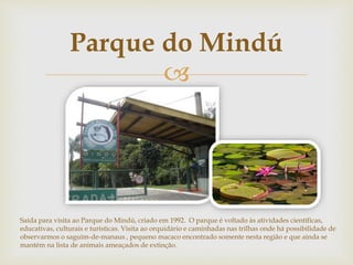 Parque do Mindú 
 
Saída para visita ao Parque do Mindú, criado em 1992. O parque é voltado às atividades científicas, 
educativas, culturais e turísticas. Visita ao orquidário e caminhadas nas trilhas onde há possibilidade de 
observarmos o saguím-de-manaus , pequeno macaco encontrado somente nesta região e que ainda se 
mantém na lista de animais ameaçados de extinção. 
 