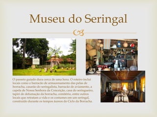 Museu do Seringal 
 
O passeio guiado dura cerca de uma hora. O roteiro inclui 
locais como o barracão de armazenamento das pelas de 
borracha, casarão do seringalista, barracão de aviamento, a 
capela de Nossa Senhora da Conceição, casa do seringueiro, 
tapiri de defumação da borracha, cemitério, entre outros 
locais que retratam a vida e os costumes em um seringal, 
construído durante os tempos áureos do Ciclo da Borracha. 
 