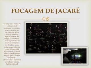 FOCAGEM DE JACARÉ 
 
Saída para o Porto de 
Manaus onde 
embarcaremos num 
cruzeiro noturno, 
navegando pelos 
canais que fazem a 
ligação entre o Rio 
Negro e o Solimões. 
Guias especializados 
usando lanternas 
mostrarão a fauna 
noturna, constituída 
principalmente de 
algumas espécies de 
jacaré, abundante na 
região, para captura 
temporária, 
observação e posterior 
devolução ao seu 
habitat natural. 
 