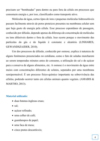 4
precisam ser “bombeadas” para dentro ou para fora da célula em processos que
consomem energia e, por isso, classificados como transporte ativo.
Moléculas de água, certos tipos de íons e pequenas moléculas hidrossolúveis
passam facilmente através de poros proteicos presentes na membrana celular sem
que haja gasto de energia pela célula. Esse processo espontâneo de passagem,
conhecido por difusão, depende apenas da diferença de concentração de moléculas
ou íons difusíveis dentro e fora da célula. Isso ocorre porque o movimento das
partículas do gás e do líquido é constante e aleatório (LINHARES,
GEWANDSZAJDER, 2010).
Um dos processos de difusão, conhecido por osmose, explica à natureza de
alguns fenômenos presenciados no cotidiano, como o fato de saladas murcharem
ao serem temperadas minutos antes do consumo, a utilização do sal e do açúcar
para a conserva de alguns alimentos, etc. A osmose é o movimento da água entre
meios com concentrações diferentes de solutos, separados por uma membrana
semipermeável. É um processo físico-químico importante na sobrevivência das
células, podendo ocorrer tanto em células animais quanto vegetais. (AMABIS &
MARTHO, 2013).
Material utilizado:
 duas batatas-inglesas cruas;
 sal;
 açúcar refinado;
 uma colher de café;
 guardanapos de papel;
 uma faca de mesa;
 cinco pratos descartáveis;
 
