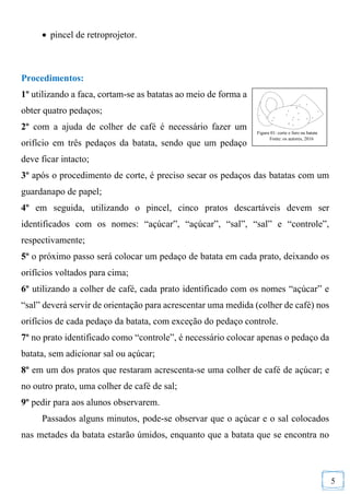 5
 pincel de retroprojetor.
Procedimentos:
1º utilizando a faca, cortam-se as batatas ao meio de forma a
obter quatro pedaços;
2º com a ajuda de colher de café é necessário fazer um
orifício em três pedaços da batata, sendo que um pedaço
deve ficar intacto;
3º após o procedimento de corte, é preciso secar os pedaços das batatas com um
guardanapo de papel;
4º em seguida, utilizando o pincel, cinco pratos descartáveis devem ser
identificados com os nomes: “açúcar”, “açúcar”, “sal”, “sal” e “controle”,
respectivamente;
5º o próximo passo será colocar um pedaço de batata em cada prato, deixando os
orifícios voltados para cima;
6º utilizando a colher de café, cada prato identificado com os nomes “açúcar” e
“sal” deverá servir de orientação para acrescentar uma medida (colher de café) nos
orifícios de cada pedaço da batata, com exceção do pedaço controle.
7º no prato identificado como “controle”, é necessário colocar apenas o pedaço da
batata, sem adicionar sal ou açúcar;
8º em um dos pratos que restaram acrescenta-se uma colher de café de açúcar; e
no outro prato, uma colher de café de sal;
9º pedir para aos alunos observarem.
Passados alguns minutos, pode-se observar que o açúcar e o sal colocados
nas metades da batata estarão úmidos, enquanto que a batata que se encontra no
Figura 01: corte e furo na batata
Fonte: os autores, 2016
 