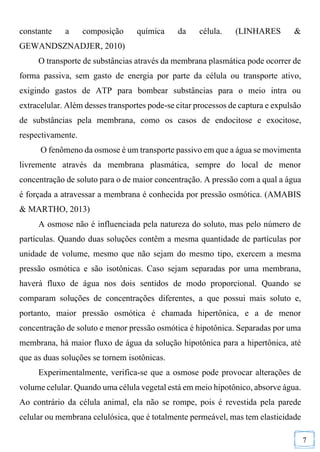 7
constante a composição química da célula. (LINHARES &
GEWANDSZNADJER, 2010)
O transporte de substâncias através da membrana plasmática pode ocorrer de
forma passiva, sem gasto de energia por parte da célula ou transporte ativo,
exigindo gastos de ATP para bombear substâncias para o meio intra ou
extracelular. Além desses transportes pode-se citar processos de captura e expulsão
de substâncias pela membrana, como os casos de endocitose e exocitose,
respectivamente.
O fenômeno da osmose é um transporte passivo em que a água se movimenta
livremente através da membrana plasmática, sempre do local de menor
concentração de soluto para o de maior concentração. A pressão com a qual a água
é forçada a atravessar a membrana é conhecida por pressão osmótica. (AMABIS
& MARTHO, 2013)
A osmose não é influenciada pela natureza do soluto, mas pelo número de
partículas. Quando duas soluções contêm a mesma quantidade de partículas por
unidade de volume, mesmo que não sejam do mesmo tipo, exercem a mesma
pressão osmótica e são isotônicas. Caso sejam separadas por uma membrana,
haverá fluxo de água nos dois sentidos de modo proporcional. Quando se
comparam soluções de concentrações diferentes, a que possui mais soluto e,
portanto, maior pressão osmótica é chamada hipertônica, e a de menor
concentração de soluto e menor pressão osmótica é hipotônica. Separadas por uma
membrana, há maior fluxo de água da solução hipotônica para a hipertônica, até
que as duas soluções se tornem isotônicas.
Experimentalmente, verifica-se que a osmose pode provocar alterações de
volume celular. Quando uma célula vegetal está em meio hipotônico, absorve água.
Ao contrário da célula animal, ela não se rompe, pois é revestida pela parede
celular ou membrana celulósica, que é totalmente permeável, mas tem elasticidade
 