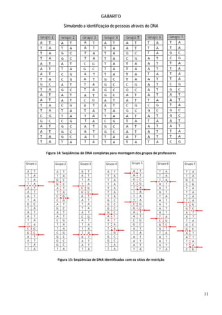 11
GABARITO
Simulando a identificação de pessoas através do DNA
Figura 14: Seqüências de DNA completas para montagem dos grupos de professores
Figura 15: Seqüências de DNA identificadas com os sítios de restrição
 