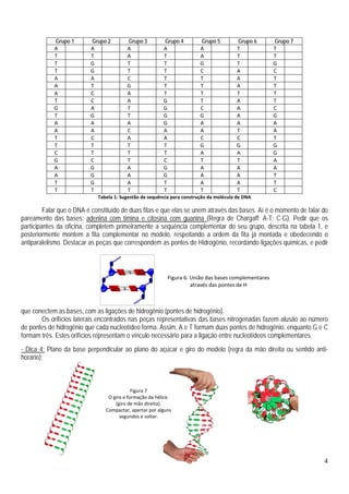 4
Figura 7
O giro e formação da hélice.
(giro de mão direita).
Compactar, apertar por alguns
segundos e soltar.
Grupo 1 Grupo 2 Grupo 3 Grupo 4 Grupo 5 Grupo 6 Grupo 7
A A A A A T T
T T A T A T T
T G T T G T G
T G T T C A C
A A C T T A T
A T G T T A T
A C A T T T T
T C A G T A T
G A T G C A C
T G T G G A G
A A A G A A A
A A C A A T A
T C A A C C T
T T T T G G G
C T T T A A G
G C T C T T A
A G A G A A A
A G A G A A T
T G A T A A T
T T T T T T C
Tabela 1: Sugestão de sequência para construção da molécula de DNA
Falar que o DNA é constituído de duas fitas e que elas se unem através das bases. Aí é o momento de falar do
pareamento das bases: adenina com timina e citosina com guanina (Regra de Chargaff: A-T; C-G). Pedir que os
participantes da oficina, completem primeiramente a sequência complementar do seu grupo, descrita na tabela 1, e
posteriormente montem a fita complementar no modelo, respeitando a ordem da fita já montada e obedecendo o
antiparalelismo. Destacar as peças que correspondem as pontes de Hidrogênio, recordando ligações químicas, e pedir
que conectem as bases, com as ligações de hidrogênio (pontes de hidrogênio).
Os orifícios laterais encontrados nas peças representativas das bases nitrogenadas fazem alusão ao número
de pontes de hidrogênio que cada nucleotídeo forma. Assim, A e T formam duas pontes de hidrogênio, enquanto G e C
formam três. Estes orifícios representam o vínculo necessário para a ligação entre nucleotídeos complementares.
- Dica 4: Plano da base perpendicular ao plano do açúcar e giro do modelo (regra da mão direita ou sentido anti-
horário);
Figura 6: União das bases complementares
através das pontes de H
 