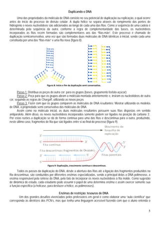 5
Duplicando o DNA
Uma das propriedades da molécula de DNA consiste no seu potencial de duplicação ou replicação, o qual ocorre
antes do início do processo de divisão celular. A dupla hélice se separa através do rompimento das pontes de
hidrogênio e novos nucleotídeos são adicionados ao longo de cada uma das fitas. Como a seqüência de uma cadeia é
determinada pela seqüência da outra, conforme a regra de complementaridade das bases, os nucleotídeos
incorporados às fitas recém formadas são complementares aos das “fitas-mãe”. Este processo é chamado de
duplicação semiconservativa, uma vez que são formadas duas moléculas de DNA idênticas à inicial, sendo cada uma
constituída por uma das “fitas-mãe” e uma fita nova (figura 8).
Passo 1: Distribua as peças de outra cor para os grupos (bases, grupamento fosfato-açúcar);
Passo 2: Peça para que os grupos abram a molécula montada anteriormente e, insiram os nucleotídeos de outra
cor, seguindo as regras de Chargaff, utilizando as novas peças
Passo 3: Fazer com que os grupos comparem as moléculas de DNA resultantes; Mostrar utilizando os modelos
de DNA, a propriedade semi conservativa das moléculas de DNA.
Assim como na molécula inicial, as duas moléculas resultantes possuem suas fitas dispostas em sentido
antiparalelo. Além disso, os novos nucleotídeos incorporados somente podem ser ligados na posição do carbono 3’.
Por estas razões a duplicação se dá de forma contínua para uma das fitas e descontínua para a outra, produzindo,
neste último caso, fragmentos de fita que são ligados entre si ao final do processo (figura 9).
Todos os passos da duplicação do DNA, desde a abertura das fitas até a ligação dos fragmentos produzidos na
fita descontínua, são conduzidos por diferentes enzimas especializadas, sendo a principal delas a DNA polimerase, a
enzima responsável pela síntese do DNA, pelo fato de incorporar os novos nucleotídeos à fita molde. Como sugestão
de dinâmica de estudo, cada estudante pode assumir o papel de uma determina enzima e assim exercer somente sua
a função específica (a helicase, para desfazer a hélice, as polimerases).
Enzimas de restrição: tesouras de DNA
Um dos grandes desafios vivenciados pelos professores em geral é como elaborar uma “aula científica” que
corresponda às diretrizes dos PCN’s, mas que tenha uma linguagem acessível fazendo com que o aluno entenda o
Figura 9: Duplicação, crescimento contínuo e descontínuo.
Figura 8: Início e fim da duplicação semi conservativa.
 