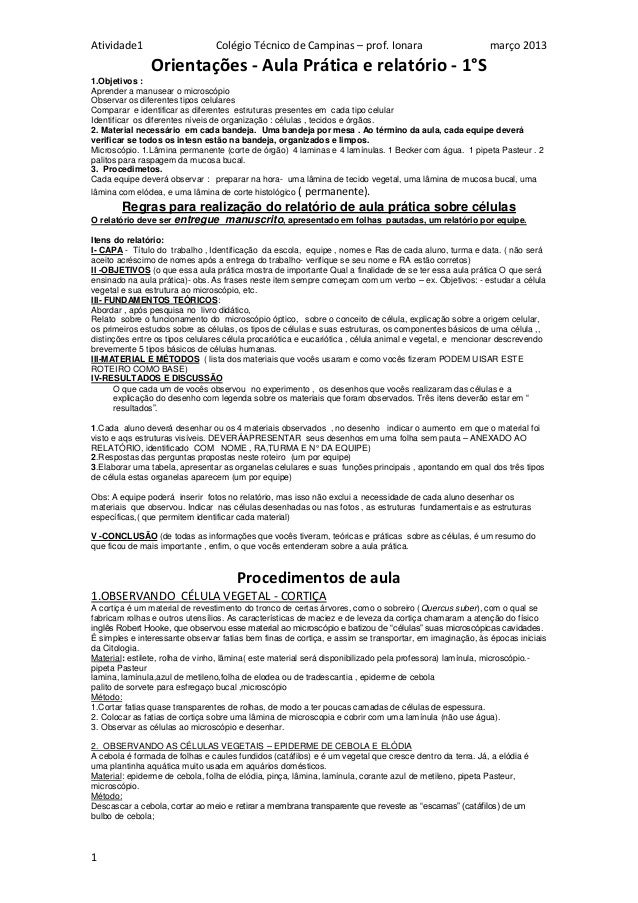 Relatorio experimental Relatorio experimental