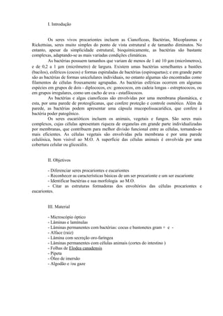 I. Introdução
Os seres vivos procariontes incluem as Cianofíceas, Bactérias, Micoplasmas e
Rickettsias, seres muito simples do ponto de vista estrutural e de tamanho diminutos. No
entanto, apesar da simplicidade estrutural, bioquimicamente, as bactérias são bastante
complexas, adaptando-se as mais variadas condições climáticas.
As bactérias possuem tamanhos que variam de menos de 1 até 10 µm (micrômetros),
e de 0,2 a 1 µm (micrômetro) de largura. Existem umas bactérias semelhantes a bastões
(bacilos), esféricos (cocos) e formas espiraladas de bactérias (espiroquetas); e em grande parte
são as bactérias de formas unicelulares individuais, no entanto algumas são encontradas como
filamentos de células frouxamente agrupadas. As bactérias esféricas ocorrem em algumas
espécies em grupos de dois - diplococos, ex: gonococos, em cadeia longas - estreptococos, ou
em grupos irregulares, como um cacho de uva - estafilococos.
As bactérias e algas cianofíceas são envolvidas por uma membrana plasmática, e
esta, por uma parede de proteoglicanas, que confere proteção e controle osmótico. Além da
parede, as bactérias podem apresentar uma cápsula mucopolissacarídica, que confere à
bactéria poder patogênico.
Os seres eucarióticos incluem os animais, vegetais e fungos. São seres mais
complexos, cujas células apresentam riqueza de organelas em grande parte individualizadas
por membranas, que contribuem para melhor divisão funcional entre as células, tornando-as
mais eficientes. As células vegetais são envolvidas pela membrana e por uma parede
celulósica, bem visível ao M.O. A superfície das células animais é envolvida por uma
cobertura celular ou glicocálix.
II. Objetivos
- Diferenciar seres procariontes e eucariontes
- Reconhecer as características básicas de um ser procarionte e um ser eucarionte
- Identificar bactérias e sua morfologia ao M.O.
- Citar as estruturas formadoras dos envoltórios das células procariontes e
eucariontes.
III. Material
- Microscópio óptico
- Lâminas e lamínulas
- Lâminas permanentes com bactérias: cocus e bastonetes gram + e -
- Alface (raiz)
- Lâmina com secreção oro-faríngea
- Lâminas permanentes com células animais (cortes do intestino )
- Folhas de Elodea canadensis
- Pipeta
- Óleo de imersão
- Algodão e /ou gaze
 