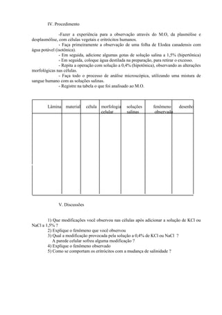 IV. Procedimento
-Fazer a experiência para a observação através do M.O, da plasmólise e
desplasmólise, com células vegetais e eritrócitos humanos.
- Faça primeiramente a observação de uma folha de Elodea canadensis com
água potável (isotônica).
- Em seguida, adicione algumas gotas de solução salina a 1,5% (hipertônica)
- Em seguida, coloque água destilada na preparação, para retirar o excesso.
- Repita a operação com solução a 0,4% (hipotônica), observando as alterações
morfológicas nas células.
- Faça todo o processo de análise microscópica, utilizando uma mistura de
sangue humano com as soluções salinas.
- Registre na tabela o que foi analisado ao M.O.
Lâmina material célula morfologia soluções fenômeno desenho
celular salinas observado
V. Discussões
1) Que modificações você observou nas células após adicionar a solução de KCl ou
NaCl a 1,5% ?
2) Explique o fenômeno que você observou
3) Qual a modificação provocada pela solução a 0,4% de KCl ou NaCl ?
A parede celular sofreu alguma modificação ?
4) Explique o fenômeno observado
5) Como se comportam os eritrócitos com a mudança de salinidade ?
 