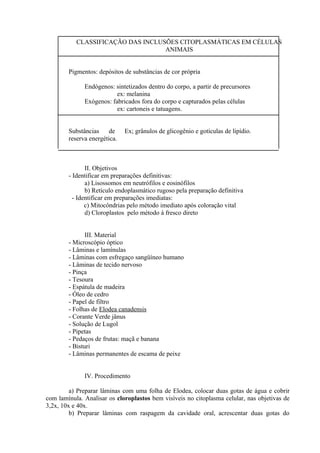 CLASSIFICAÇÃO DAS INCLUSÕES CITOPLASMÁTICAS EM CÉLULAS
ANIMAIS
Pigmentos: depósitos de substâncias de cor própria
Endógenos: sintetizados dentro do corpo, a partir de precursores
ex: melanina
Exógenos: fabricados fora do corpo e capturados pelas células
ex: cartoneis e tatuagens.
Substâncias de Ex; grânulos de glicogênio e gotículas de lipídio.
reserva energética.
II. Objetivos
- Identificar em preparações definitivas:
a) Lisossomos em neutrófilos e eosinófilos
b) Retículo endoplasmático rugoso pela preparação definitiva
- Identificar em preparações imediatas:
c) Mitocôndrias pelo método imediato após coloração vital
d) Cloroplastos pelo método à fresco direto
III. Material
- Microscópio óptico
- Lâminas e lamínulas
- Lâminas com esfregaço sangüíneo humano
- Lâminas de tecido nervoso
- Pinça
- Tesoura
- Espátula de madeira
- Óleo de cedro
- Papel de filtro
- Folhas de Elodea canadensis
- Corante Verde jânus
- Solução de Lugol
- Pipetas
- Pedaços de frutas: maçã e banana
- Bisturi
- Lâminas permanentes de escama de peixe
IV. Procedimento
a) Preparar lâminas com uma folha de Elodea, colocar duas gotas de água e cobrir
com lamínula. Analisar os cloroplastos bem visíveis no citoplasma celular, nas objetivas de
3,2x, 10x e 40x.
b) Preparar lâminas com raspagem da cavidade oral, acrescentar duas gotas do
 