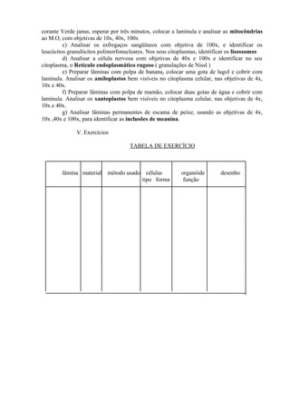 corante Verde janus, esperar por três minutos, colocar a lamínula e analisar as mitocôndrias
ao M.O, com objetivas de 10x, 40x, 100x
c) Analisar os esfregaços sangüíneos com objetiva de 100x, e identificar os
leucócitos granulócitos polimorfonucleares. Nos seus citoplasmas, identificar os lisossomos
d) Analisar a célula nervosa com objetivas de 40x e 100x e identificar no seu
citoplasma, o Retículo endoplasmático rugoso ( granulações de Nissl )
e) Preparar lâminas com polpa de banana, colocar uma gota de lugol e cobrir com
lamínula. Analisar os amiloplastos bem visíveis no citoplasma celular, nas objetivas de 4x,
10x e 40x.
f) Preparar lâminas com polpa de mamão, colocar duas gotas de água e cobrir com
lamínula. Analisar os xantoplastos bem visíveis no citoplasma celular, nas objetivas de 4x,
10x e 40x.
g) Analisar lâminas permanentes de escama de peixe, usando as objetivas de 4x,
10x ,40x e 100x, para identificar as inclusões de meanina.
V. Exercícios
TABELA DE EXERCÍCIO
lâmina material método usado células organóide desenho
tipo forma função
 