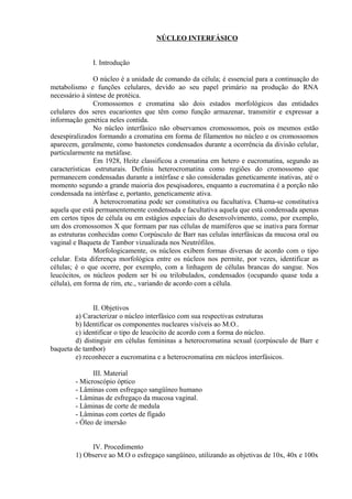 NÚCLEO INTERFÁSICO
I. Introdução
O núcleo é a unidade de comando da célula; é essencial para a continuação do
metabolismo e funções celulares, devido ao seu papel primário na produção do RNA
necessário à síntese de protéica.
Cromossomos e cromatina são dois estados morfológicos das entidades
celulares dos seres eucariontes que têm como função armazenar, transmitir e expressar a
informação genética neles contida.
No núcleo interfásico não observamos cromossomos, pois os mesmos estão
desespiralizados formando a cromatina em forma de filamentos no núcleo e os cromossomos
aparecem, geralmente, como bastonetes condensados durante a ocorrência da divisão celular,
particularmente na metáfase.
Em 1928, Heitz classificou a cromatina em hetero e eucromatina, segundo as
características estruturais. Definiu heterocromatina como regiões do cromossomo que
permanecem condensadas durante a intérfase e são consideradas geneticamente inativas, até o
momento segundo a grande maioria dos pesqisadores, enquanto a eucromatina é a porção não
condensada na intérfase e, portanto, geneticamente ativa.
A heterocromatina pode ser constitutiva ou facultativa. Chama-se constitutiva
aquela que está permanentemente condensada e facultativa aquela que está condensada apenas
em certos tipos de célula ou em estágios especiais do desenvolvimento, como, por exemplo,
um dos cromossomos X que formam par nas células de mamíferos que se inativa para formar
as estruturas conhecidas como Corpúsculo de Barr nas celulas interfásicas da mucosa oral ou
vaginal e Baqueta de Tambor vizualizada nos Neutrófilos.
Morfologicamente, os núcleos exibem formas diversas de acordo com o tipo
celular. Esta diferença morfológica entre os núcleos nos permite, por vezes, identificar as
células; é o que ocorre, por exemplo, com a linhagem de células brancas do sangue. Nos
leucócitos, os núcleos podem ser bi ou trilobulados, condensados (ocupando quase toda a
célula), em forma de rim, etc., variando de acordo com a célula.
II. Objetivos
a) Caracterizar o núcleo interfásico com sua respectivas estruturas
b) Identificar os componentes nucleares visíveis ao M.O..
c) identificar o tipo de leucócito de acordo com a forma do núcleo.
d) distinguir em células femininas a heterocromatina sexual (corpúsculo de Barr e
baqueta de tambor)
e) reconhecer a eucromatina e a heterocromatina em núcleos interfásicos.
III. Material
- Microscópio óptico
- Lâminas com esfregaço sangüíneo humano
- Lâminas de esfregaço da mucosa vaginal.
- Lâminas de corte de medula
- Lâminas com cortes de fígado
- Óleo de imersão
IV. Procedimento
1) Observe ao M.O o esfregaço sangüíneo, utilizando as objetivas de 10x, 40x e 100x
 
