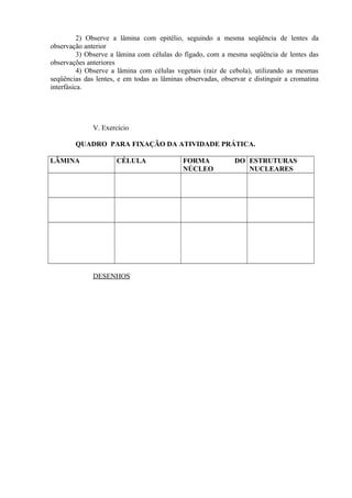 2) Observe a lâmina com epitélio, seguindo a mesma seqüência de lentes da
observação anterior
3) Observe a lâmina com células do fígado, com a mesma seqüência de lentes das
observações anteriores
4) Observe a lâmina com células vegetais (raiz de cebola), utilizando as mesmas
seqüências das lentes, e em todas as lâminas observadas, observar e distinguir a cromatina
interfásica.
V. Exercício
QUADRO PARA FIXAÇÃO DA ATIVIDADE PRÁTICA.
LÂMINA CÉLULA FORMA DO
NÚCLEO
ESTRUTURAS
NUCLEARES
DESENHOS
 