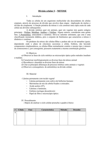 Divisão celular I – MITOSE
I. Introdução
Todas as células de um organismo multicelular são descendentes de células
originais, através do processo de divisão que envolve duas etapas : duplicação do núcleo e
divisão do citoplasma. A função primária da mitose é a de construir uma cópia exata de cada
célula nas divisões subsequentes.
A divisão mitótica quer em animais, quer em vegetais tem quatro estágios
principais : Prófase, Metáfase, Anáfase e Telófase. Alguns autores, consideram uma quinta
fase, a Prometáfase, antecedente à metáfase. Deve-se salientar entretanto, que esta é uma
classificação meramente didática, pois o conjunto de fenômenos que caracteriza a mitose é
dinâmico e contínuo.
Os produtos da mitose são células-filhas e podem não ser de tamanhos iguais,
dependendo onde o plano de citocinese seccionou a célula. Embora, não havendo
componentes citoplasmáticos, as células-filhas normalmente contém o mesmo tipo e número
de cromossomos e, por conseguinte, possuem exatamente a mesma constituição genética.
II. Objetivos
a) Observar as fases do ciclo mitótico ao microscópio óptico pelos métodos imediato
e mediato.
b) Caracterizar morfologicamente as diversas fases da mitose animal
c) Reconhecer e desenhar as diversas fases da mitose
d) Citar as principais diferenças do processo mitótico entre animais e vegetais
e) Observar a consequência do antimitótico na divisão celular.
III. Material
- Lâmina permanente com tecido vegetal
- Lâmina permanente com cultivo de linfócitos humano
- Meristemas de raiz de cebola fixados e estocados.
- Ácido acético 45%
- Lâminas e lamínulas.
- Estiletes (seringas descartáveis)
- Papel de filtro e microscópio óptico.
IV. Procedimento
- Depois de analisar o ciclo celular preencha o quadro à baixo:
/// Célula Fase Característica Método Desenho
1
 
