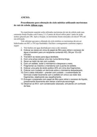 ANEXO:
Procedimento para obtenção do ciclo mitótico utilizando meristemas
de raiz de cebola Allium cepa.
No experimento seguinte serão utilizados meristemas de raiz de cebola onde suas
estruturas foram fixadas com Carnoy 3:1 (3 partes de álcool etílico para 1 parte de ácido
acético glaceal) por 24h. Após a fixação, os meristemas foram estocados em álcool 70% até
sua utilização.
Vale salientar que para a obtenção do ciclo mitótico os meristemas devem ser
hidrolizados em HCL a 5N cuja finalidade é facilitar o esmagamento conforme etapas a
seguir:
1. Três banhos em água destilada por cinco a dez minutos.
2. Colocar as raizes em cima do papel de filtro para retirar o excesso de
água e transferir para um recipiente contendo HCL 5N por 15 à 20
minutos.
3. Transferir as raizes para água destilada.
4. Com uma pinça colocar uma raiz numa lâmina limpa.
5. Secar ao redor da raiz com cuidado.
6. Com um estilete, isolar o meristema e desprezar o resto.
7. Fragmentar ao máximo o meristema com a ponta do estilete.
8. Colocar uma gota de ácido acético 45% em cima dos fragmentos.
9. Colocar com cuidado um lamínula sobre o meristema despedaçado.
10.Com o dedo indicador – prender com cuidado – a extremidade da
lamínula e bater levemente com o estilete em cima e ao redor dos
fragmentos, objetivando seu espalhamento.
11.Enxugar o preparado com papel de filtro para retirar o excesso de líquido,
pressionando levemente sem deixar a lamínula escorregar.
12.Observar ao M.O com condensador abaixado, simulando um contraste
de fase.
 