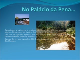 Apreciamos a paisagem e sentimo-nos envolvidos por esse ambiente quase mágico. Reparamos no Castelo dos Mouros, lá ao longe: «de vez em quando aparecia um bocado de serra, com a sua muralha de ameias correndo sobre as penedias.» Apesar de ser um caminho difícil, continuamos o percurso até ao Castelo dos Mouros.  