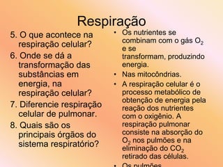 Roteiro respiracao | PPT