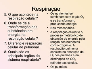 Respiração 5. O que acontece na respiração celular? 6. Onde se dá a transformação das substâncias em energia, na respiração celular? 7. Diferencie respiração celular de pulmonar. 8. Quais são os principais órgãos do sistema respiratório? Os nutrientes se combinam com o gás O 2  e se transformam, produzindo energia. Nas mitocôndrias. A respiração celular é o processo metabólico de obtenção de energia pela reação dos nutrientes com o oxigênio. A respiração pulmonar consiste na absorção do O 2  nos pulmões e na eliminação do CO 2  retirado das células. Os pulmões. 