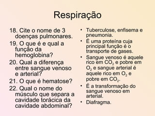 Respiração 18. Cite o nome de 3 doenças pulmonares. 19. O que é e qual a função da hemoglobina? 20. Qual a diferença entre sangue venoso e arterial? 21. O que é hematose? 22. Qual o nome do músculo que separa a cavidade torácica da cavidade abdominal? Tuberculose, enfisema e pneumonia. É uma proteína cuja principal função é o transporte de gases. Sangue venoso é aquele rico em CO 2  e pobre em O 2  e sangue arterial é aquele rico em O 2  e pobre em CO 2 . É a transformação do sangue venoso em arterial. Diafragma. 