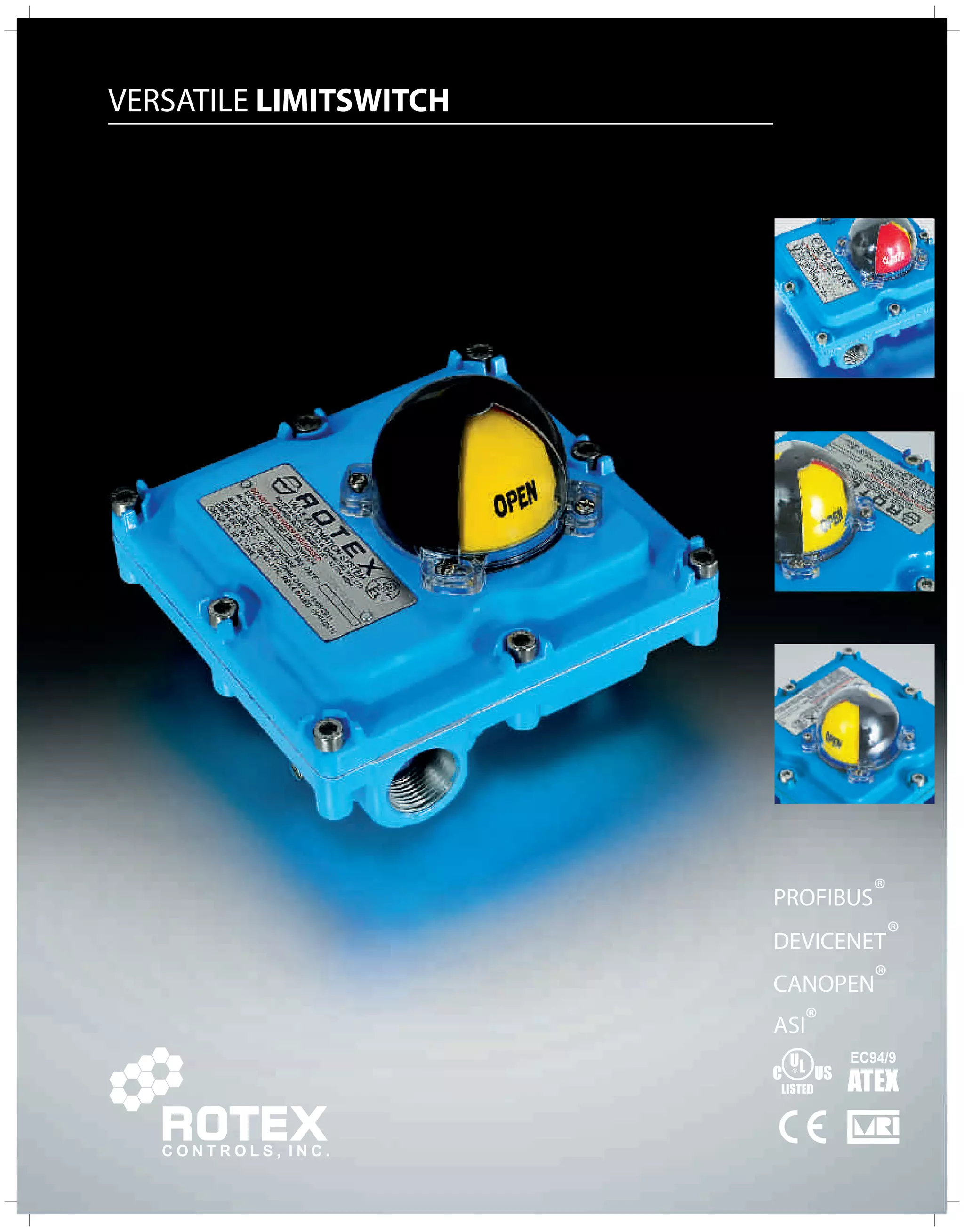 Level Switch Rotex ROTEX Controls Industrial NEMA 4 and NEMA 7 Limit Switch Catalog | PDF
