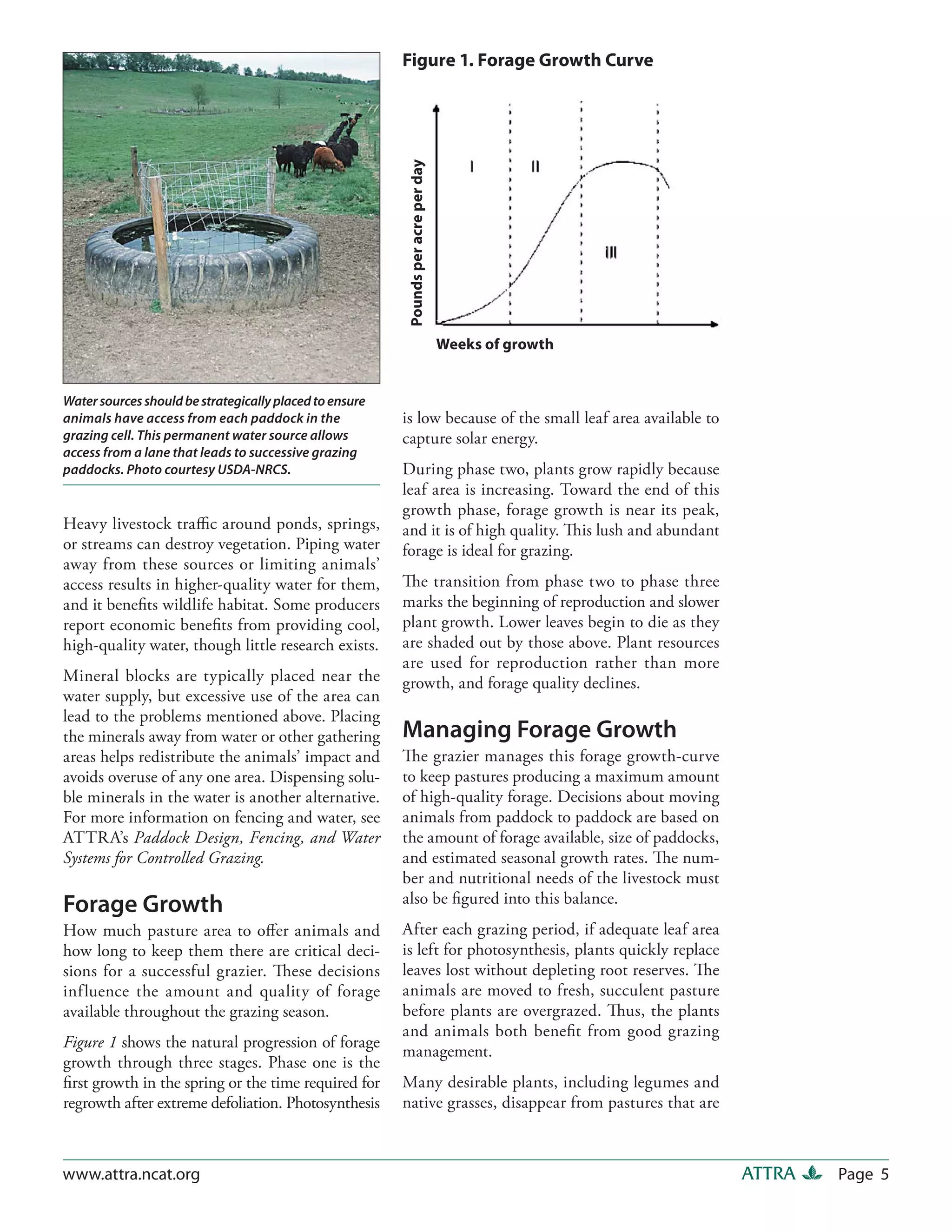 Figure 1. Forage Growth Curve




                                                          Pounds per acre per day
                                                                                    Weeks of growth


Water sources should be strategically placed to ensure
animals have access from each paddock in the             is low because of the small leaf area available to
grazing cell. This permanent water source allows         capture solar energy.
access from a lane that leads to successive grazing
paddocks. Photo courtesy USDA-NRCS.                      During phase two, plants grow rapidly because
                                                         leaf area is increasing. Toward the end of this
                                                         growth phase, forage growth is near its peak,
Heavy livestock traffic around ponds, springs,           and it is of high quality. This lush and abundant
or streams can destroy vegetation. Piping water          forage is ideal for grazing.
away from these sources or limiting animals’
access results in higher-quality water for them,         The transition from phase two to phase three
and it benefits wildlife habitat. Some producers         marks the beginning of reproduction and slower
report economic benefits from providing cool,            plant growth. Lower leaves begin to die as they
high-quality water, though little research exists.       are shaded out by those above. Plant resources
                                                         are used for reproduction rather than more
Mineral blocks are typically placed near the             growth, and forage quality declines.
water supply, but excessive use of the area can
lead to the problems mentioned above. Placing
the minerals away from water or other gathering          Managing Forage Growth
areas helps redistribute the animals’ impact and         The grazier manages this forage growth-curve
avoids overuse of any one area. Dispensing solu-         to keep pastures producing a maximum amount
ble minerals in the water is another alternative.        of high-quality forage. Decisions about moving
For more information on fencing and water, see           animals from paddock to paddock are based on
ATTRA’s Paddock Design, Fencing, and Water               the amount of forage available, size of paddocks,
Systems for Controlled Grazing.                          and estimated seasonal growth rates. The num-
                                                         ber and nutritional needs of the livestock must
Forage Growth                                            also be figured into this balance.
How much pasture area to offer animals and               After each grazing period, if adequate leaf area
how long to keep them there are critical deci-           is left for photosynthesis, plants quickly replace
sions for a successful grazier. These decisions          leaves lost without depleting root reserves. The
influence the amount and quality of forage               animals are moved to fresh, succulent pasture
available throughout the grazing season.                 before plants are overgrazed. Thus, the plants
                                                         and animals both benefit from good grazing
Figure 1 shows the natural progression of forage
                                                         management.
growth through three stages. Phase one is the
first growth in the spring or the time required for      Many desirable plants, including legumes and
regrowth after extreme defoliation. Photosynthesis       native grasses, disappear from pastures that are



www.attra.ncat.org                                                                                            ATTRA   Page 5
 