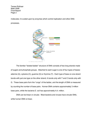 Teresa Rothaar
Math 4096
Final Report
Page 2
molecules; it is acted upon by enzymes which control replication and other DNA
processes.

The familiar “twisted ladder” structure of DNA consists of two long strands made
of sugars and phosphate groups. Attached to each sugar is one of four types of bases:
adenine (A), cytosine (C), guanine (G) or thymine (T). Each type of base on one strand
bonds with just one type on the other strand; A bonds only with T and C bonds only with
G. These base pairs form the “rungs” of the ladder, and the length of DNA is measured
by counting the number of base pairs. Human DNA contains approximately 3 million
base pairs, while the bacteria E. coli has approximately 4.4. million.
DNA can be linear or circular. Most bacteria and viruses have circular DNA,
while human DNA is linear.

 