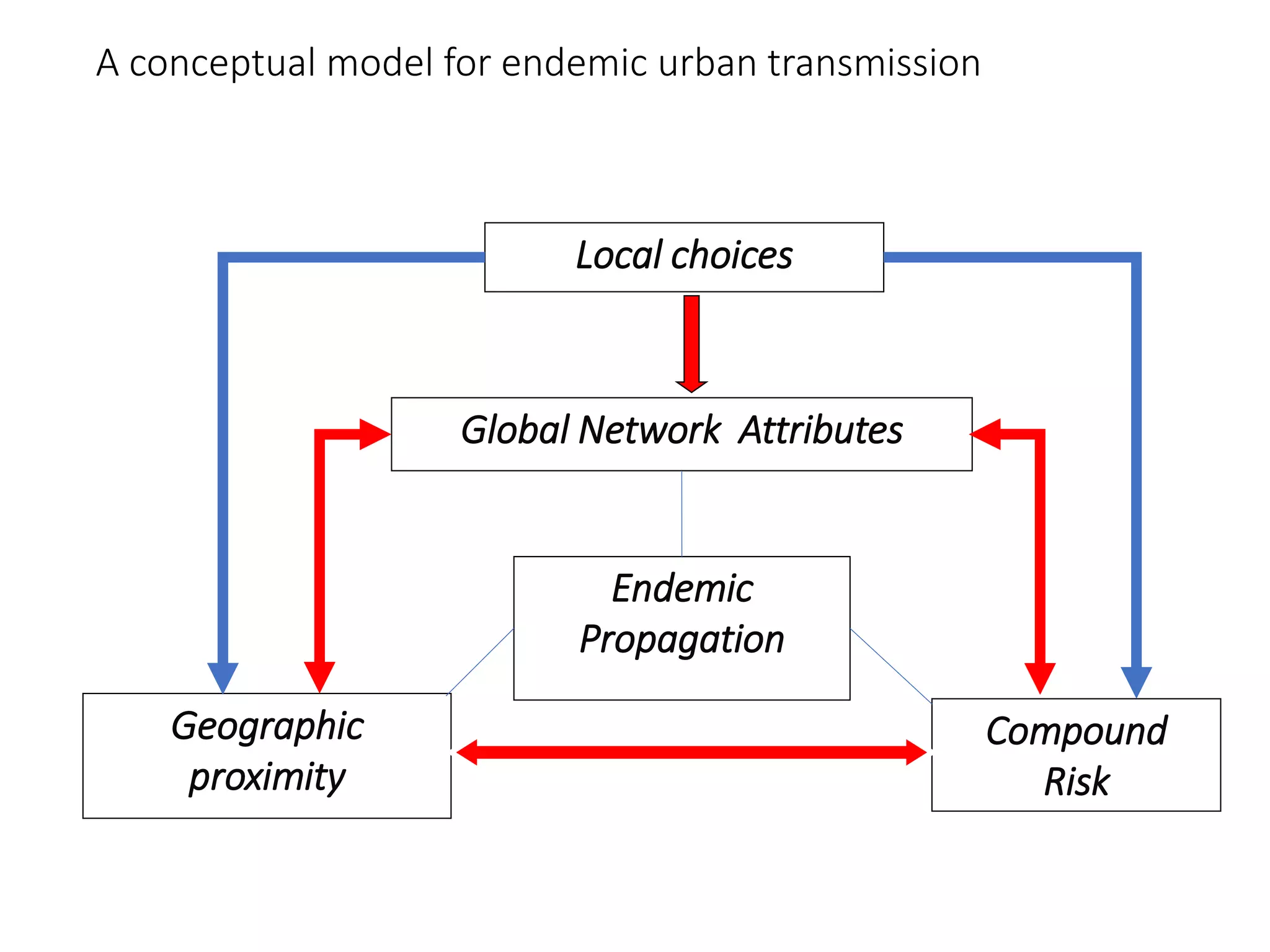 Global Network Attributes
Compound
Risk
Endemic
Propagation
A conceptual model for endemic urban transmission
Local choices
Geographic
proximity
 