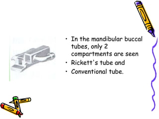 • In the mandibular buccal
tubes, only 2
compartments are seen
• Rickett's tube and
• Conventional tube.
 