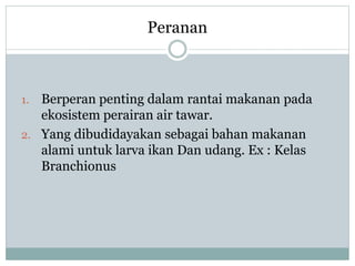 Peranan
1. Berperan penting dalam rantai makanan pada
ekosistem perairan air tawar.
2. Yang dibudidayakan sebagai bahan makanan
alami untuk larva ikan Dan udang. Ex : Kelas
Branchionus
 