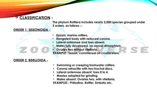 Rotifera and affinities of rotifera by zoologyverse.pptx