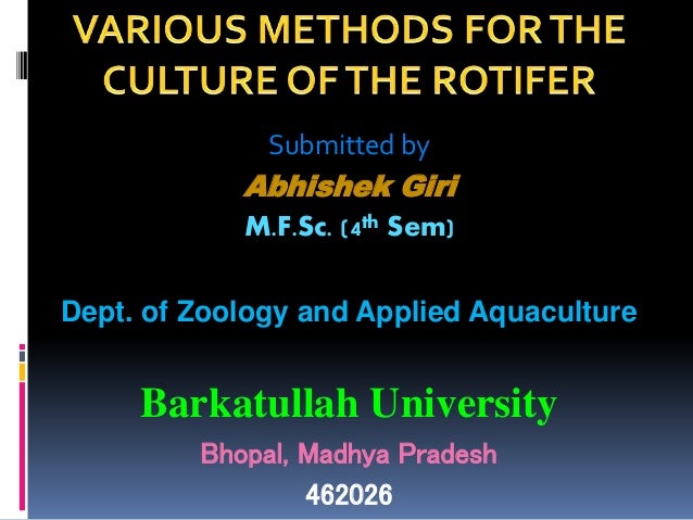 rotifer culture
