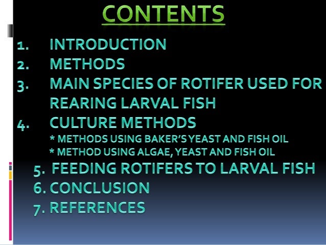 rotifer culture