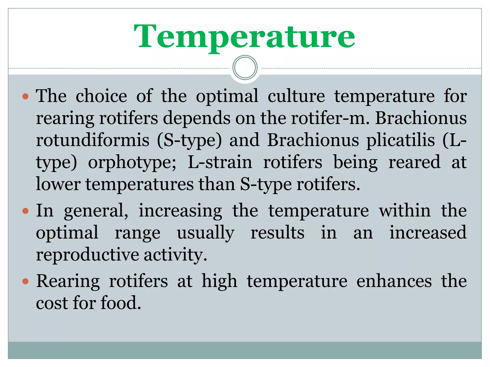 Culture Of Rotifers | PPTX
