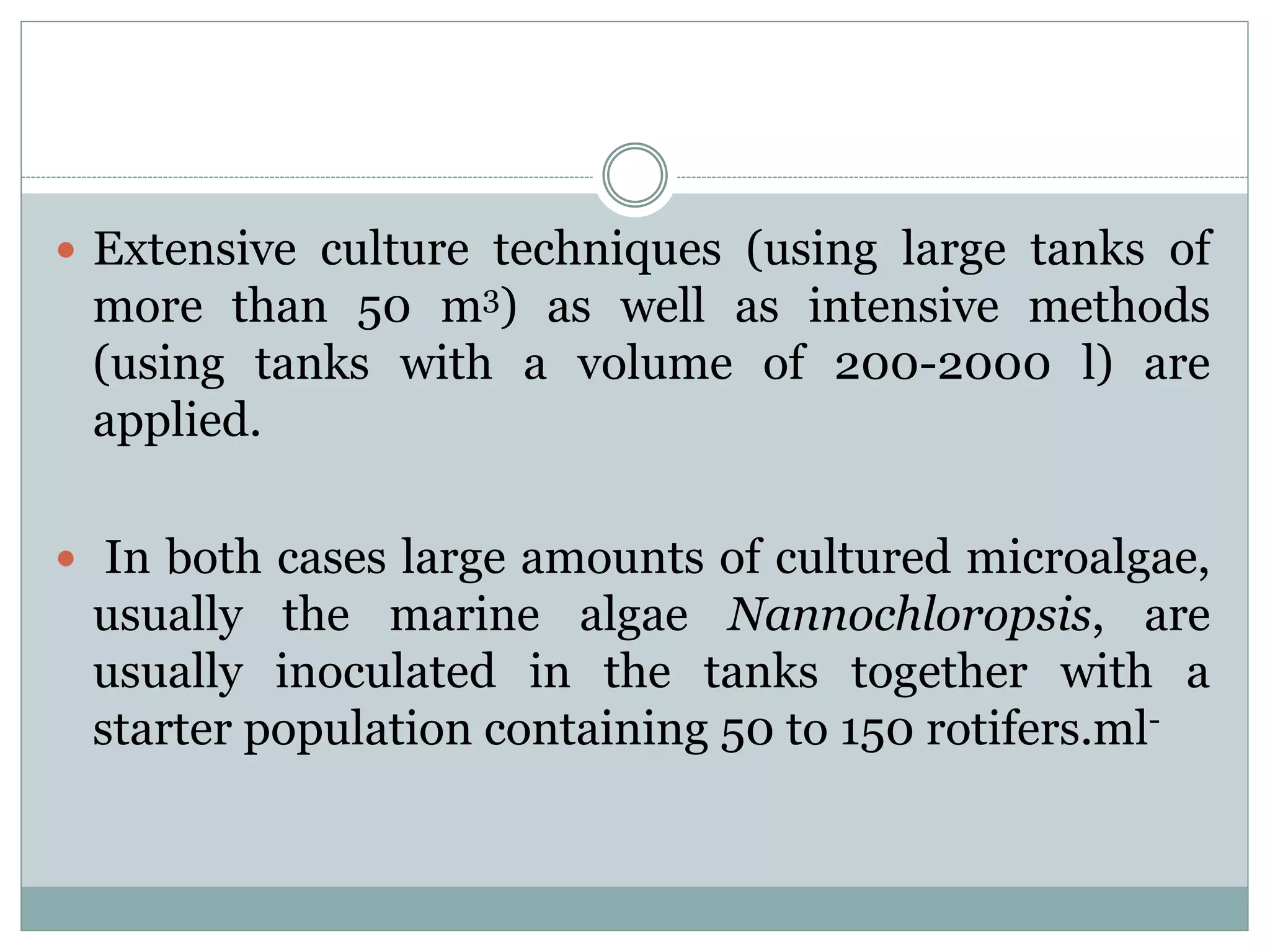 Culture Of Rotifers | PPTX