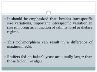 Culture Of Rotifers | PPTX