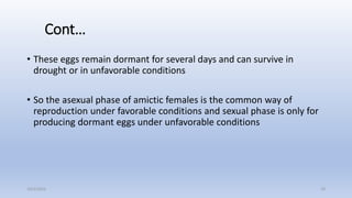 General Introduction of Rotifers | PPTX
