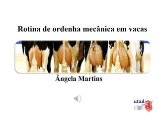 Rotina de ordenha mecânica em vacas

Ângela Martins

 