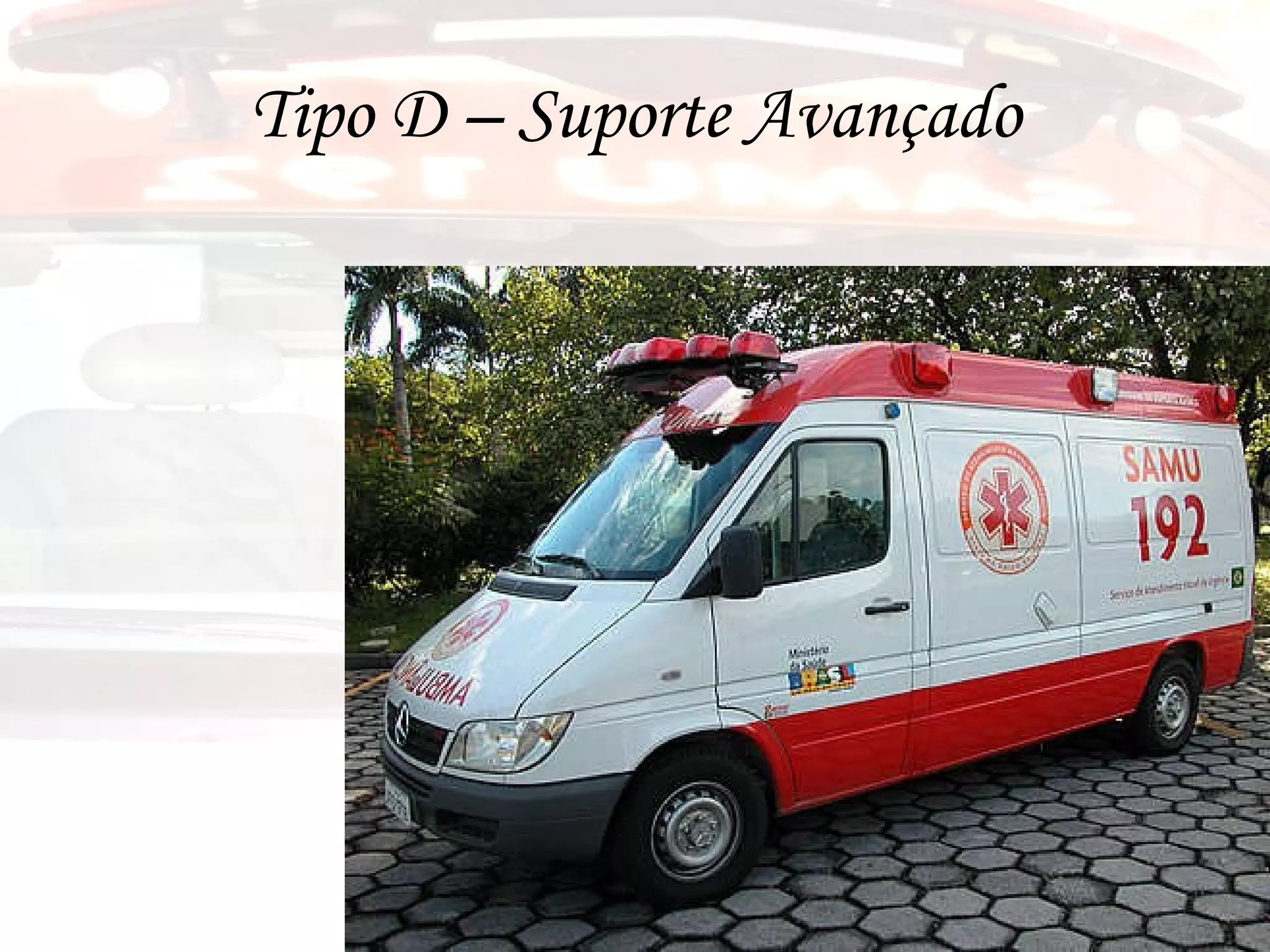 Tipo D – Suporte Avançado 