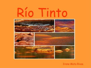 Río Tinto


        Irene Mota Rivas.
 
