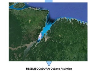 DESEMBOCADURA: Océano Atlántico

 