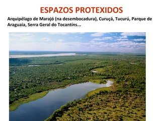 ESPAZOS PROTEXIDOS
Arquipélago de Marajó (na desembocadura), Curuçá, Tucurú, Parque de
Araguaia, Serra Geral do Tocantíns...

 