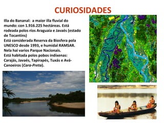 CURIOSIDADES
Illa do Bananal: a maior illa fluvial do
mundo: con 1.916.225 hectáreas. Está
rodeada polos ríos Araguaia e Javaés (estado
de Tocantíns)
Está considerada Reserva da Biosfera pola
UNESCO desde 1993, e humidal RAMSAR.
Nela hai varios Parque Nacionais.
Está habitada polos pobos indíxenas:
Carajás, Javaés, Tapirapés, Tuxás e AváCanoeiros (Cara-Preta).

 